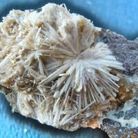 The Minerals: 15 Mar - 22 Mar 2023