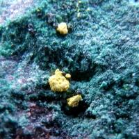 Derriksite & Marthozite