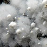 Aragonite & Hydromagnesite