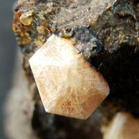 Gmelinite