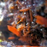 Crocoite