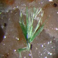 Agardite-(Nd)