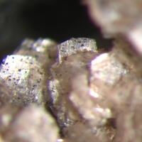 Brandtite