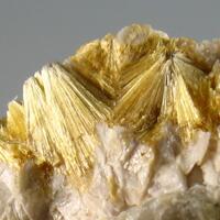 Carpholite