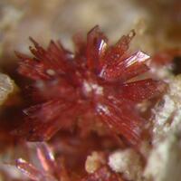 Erythrite