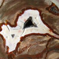 Lithophyse Agate