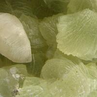 Prehnite