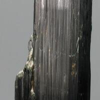 Magnesio-hornblende