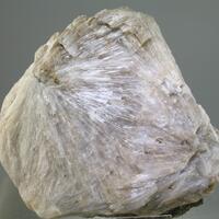 Probertite