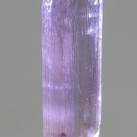 Scapolite