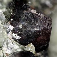 Manganoeudialyte