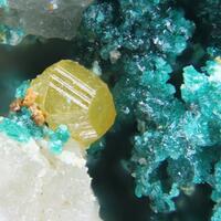 Herbertsmithite Zincrosasite & Wulfenite