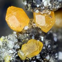 Mimetite Willemite Psm Descloizite