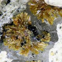 Earlshannonite