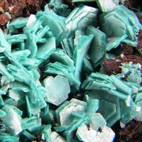 Chalcophyllite & Parnauite