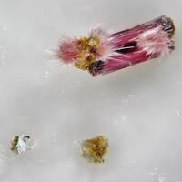 Pradetite & Erythrite