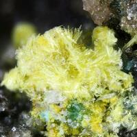 Alwilkinsite-(Y)