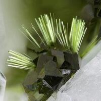 Agardite-(Ce) & Olivenite