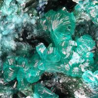 Clinotyrolite & Anatacamite