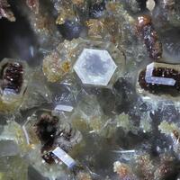 Roedderite