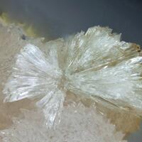 Fluckite