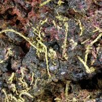 Native Gold & Erythrite Skutterudite