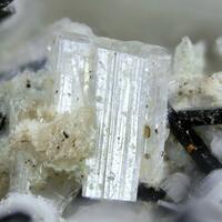 Korobitsynite