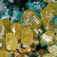 Herbertsmithite Wulfenite & Zincrosasite