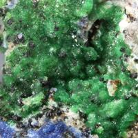 Dmisokolovite