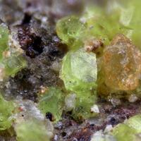 Agricolaite