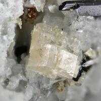 Korobitsynite