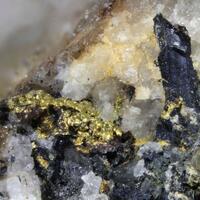 Native Gold & Brannerite