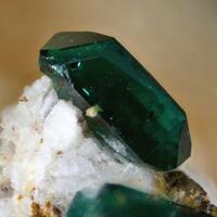 Herbertsmithite