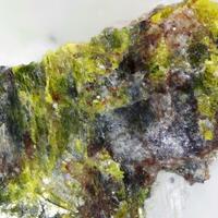 Lithiotantite & Thoreaulite