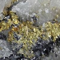 Native Gold On Galena