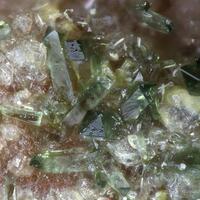 Pauflerite