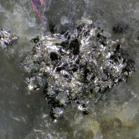 Aurostibite