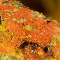 Becquerelite Fourmarierite & Urancalcarite