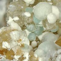 Alamosite & Gyrolite