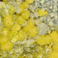 Becquerelite & Fourmarierite