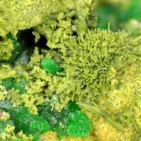 Chenevixite Psm Olivenite