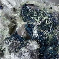 Elyite