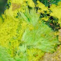Schoepite & Cuprosklodowskite