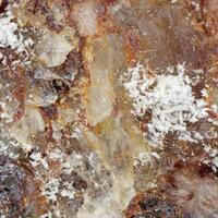 Tinnunculite