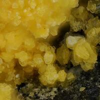 Chenowethite