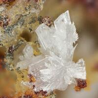 Rauenthalite & Phaunouxite