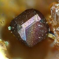 Wittichenite