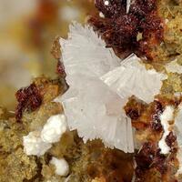 Rauenthalite & Phaunouxite