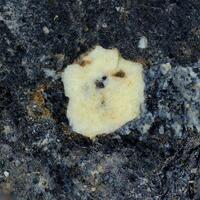 Brockite & Columbite-(Mn)
