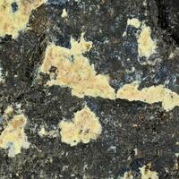 Carlosbarbosaite & Columbite-(Fe)